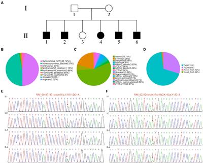 cdh23 affects congenital hearing loss through regulating purine metabolism